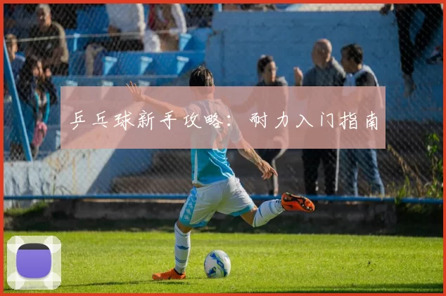 乒乓球新手攻略：耐力入门指南
