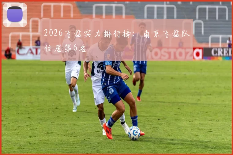 2026飞盘实力排行榜：南京飞盘队位居第6名