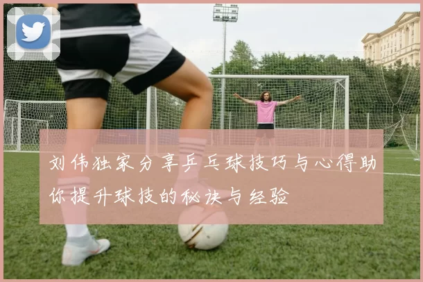 刘伟独家分享乒乓球技巧与心得助你提升球技的秘诀与经验
